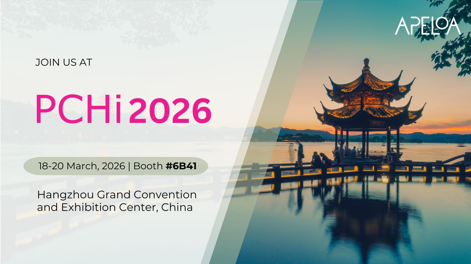 graphical user interface, application